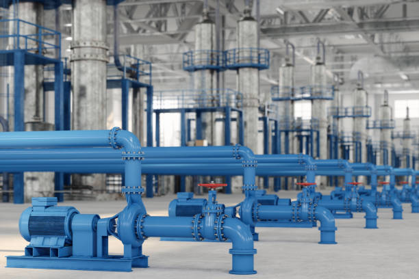 Best Sewer Cleaning Services  in Carnation, WA